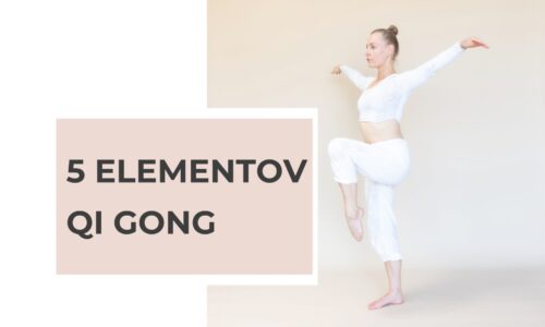 5 ELEMENTOV QI GONG